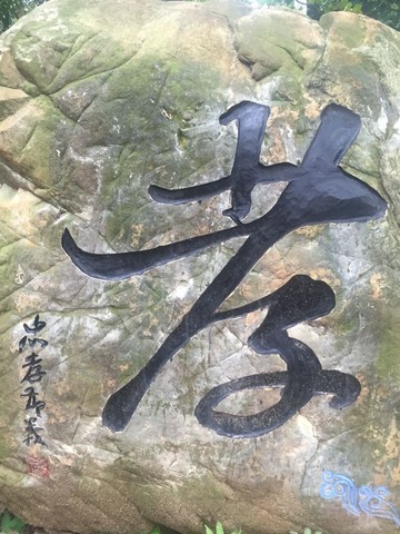 journal_insert_pic_440526274