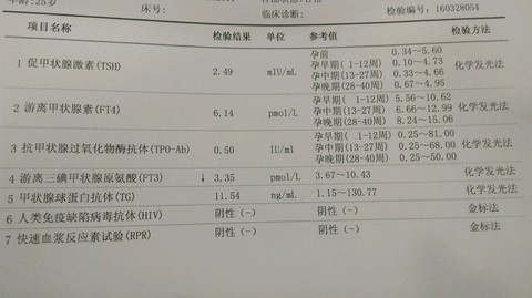 journal_insert_pic_441785384