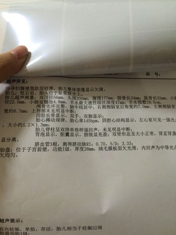 journal_insert_pic_443053350
