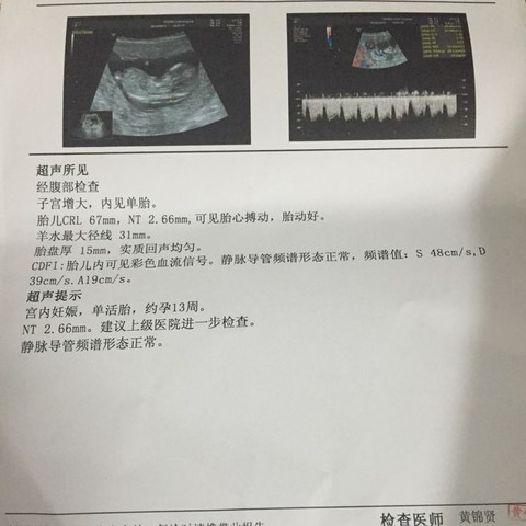 journal_insert_pic_443573332
