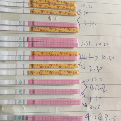 journal_insert_pic_442998546