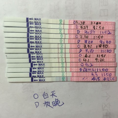 journal_insert_pic_443276785