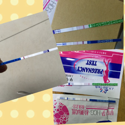 journal_insert_pic_443951239
