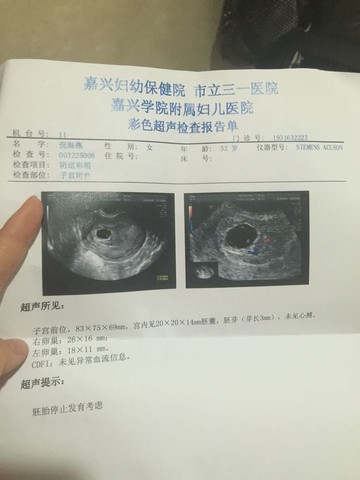 journal_insert_pic_445038705