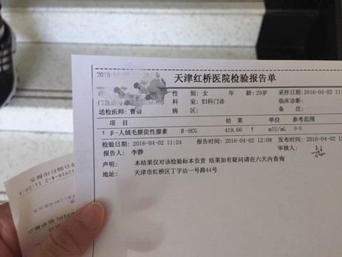 journal_insert_pic_445535531