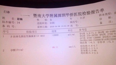 journal_insert_pic_445810142