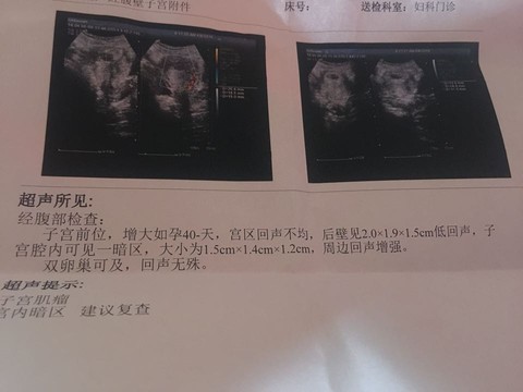journal_insert_pic_445413849
