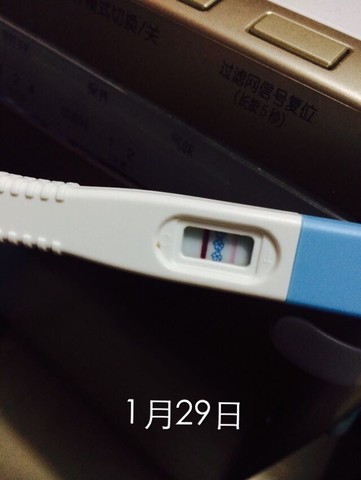 journal_insert_pic_445314752