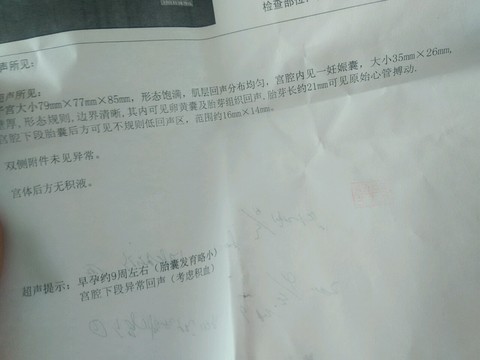 journal_insert_pic_446432247