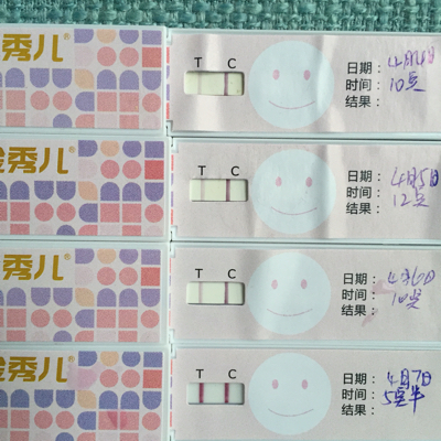 journal_insert_pic_446772565