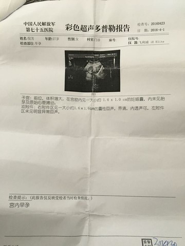 journal_insert_pic_447382875