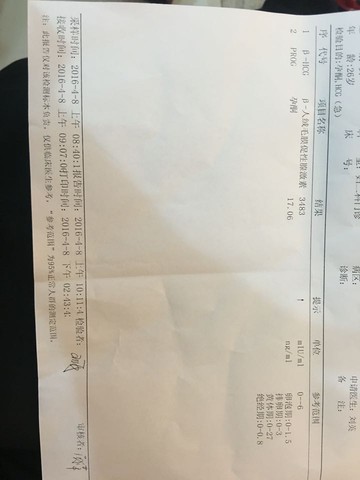 journal_insert_pic_447539513