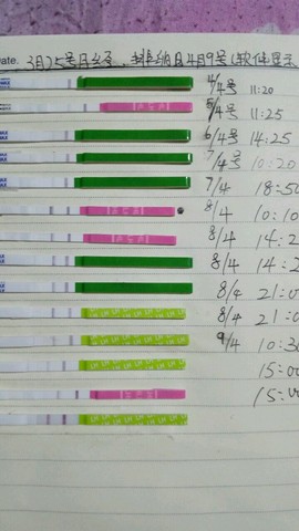 journal_insert_pic_448592414