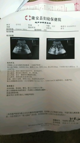 journal_insert_pic_448113089