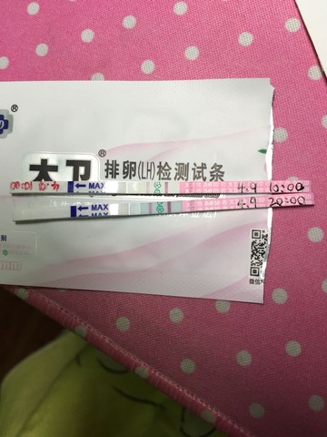 journal_insert_pic_448462820