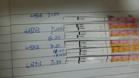 journal_insert_pic_448024987