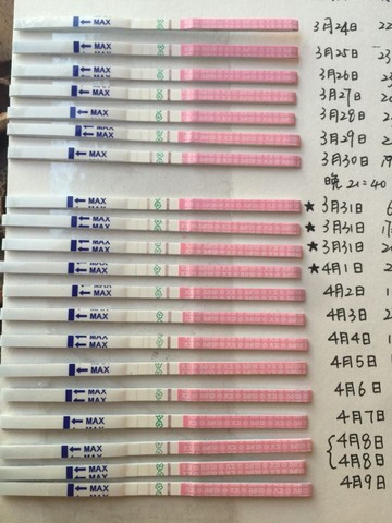 journal_insert_pic_448412624