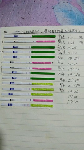 journal_insert_pic_448592302
