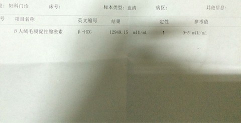 journal_insert_pic_449495784