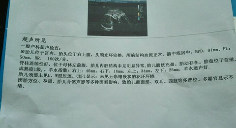journal_insert_pic_449041555