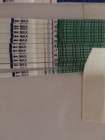 journal_insert_pic_449647222