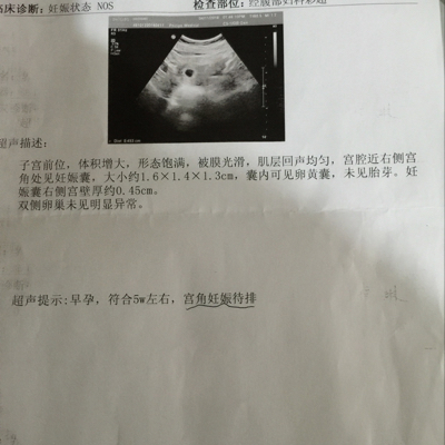 journal_insert_pic_450070293