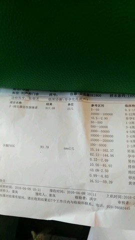 journal_insert_pic_449856759