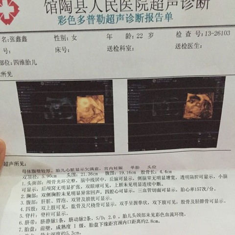 journal_insert_pic_450268068