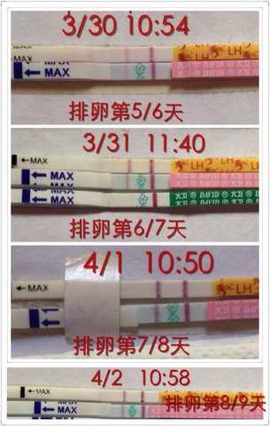 journal_insert_pic_451763320