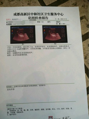 journal_insert_pic_451528438