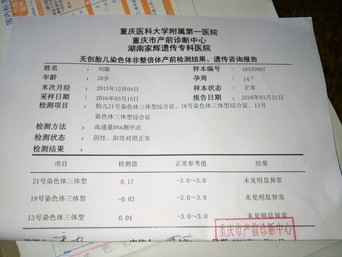 journal_insert_pic_453300381