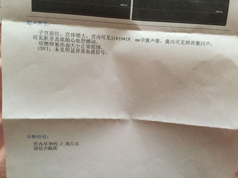 journal_insert_pic_453288857