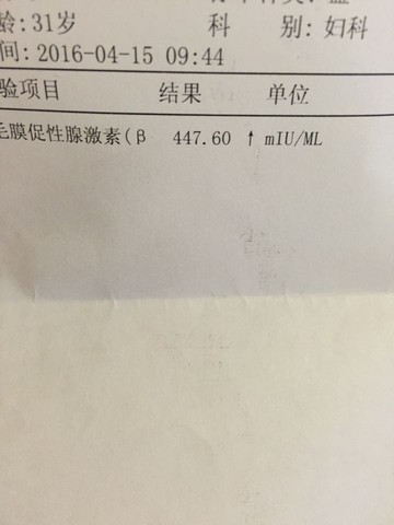 journal_insert_pic_453559541