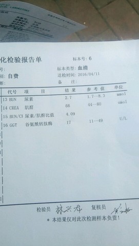 journal_insert_pic_454036088