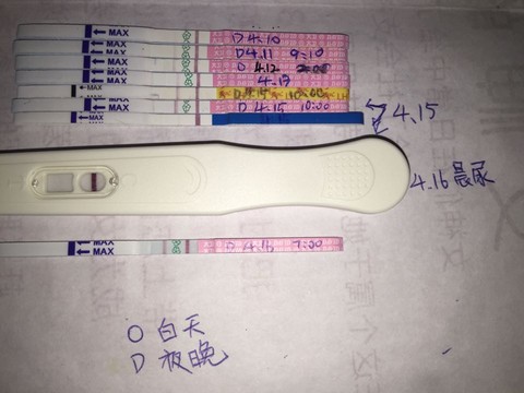 journal_insert_pic_454511075