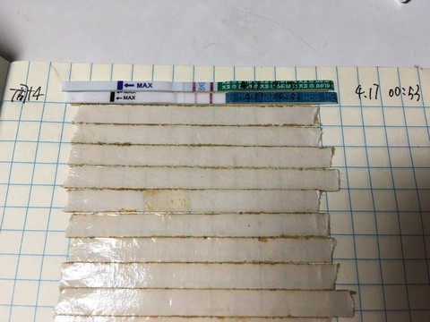 journal_insert_pic_454714057