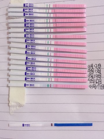 journal_insert_pic_454976952