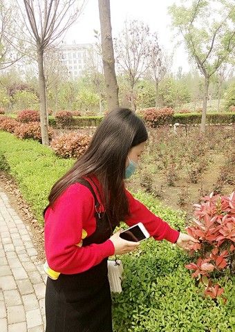 journal_insert_pic_456179615