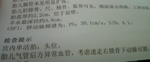 journal_insert_pic_456058388