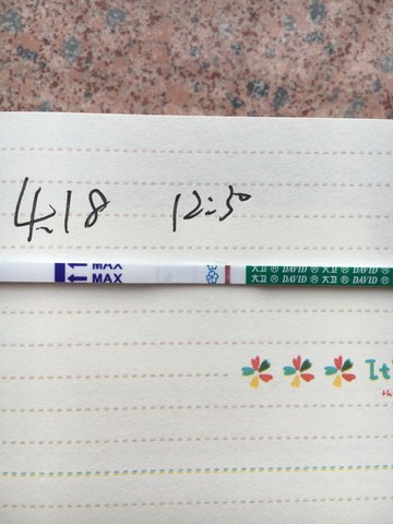 journal_insert_pic_455963387