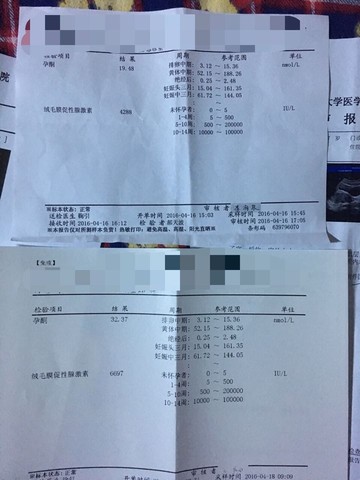 journal_insert_pic_456067885