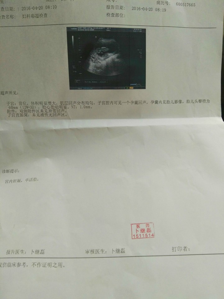 journal_insert_pic_457308535