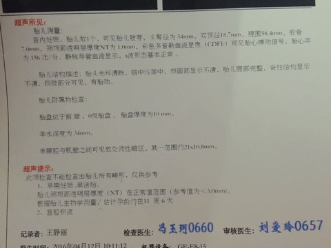 journal_insert_pic_458544025