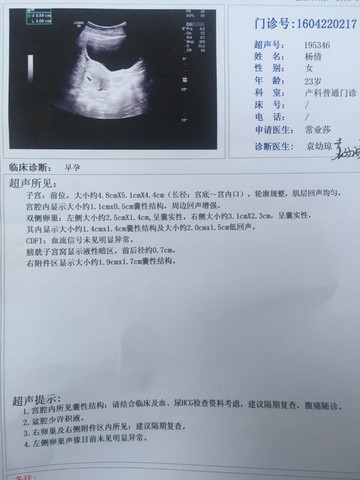 journal_insert_pic_459360885