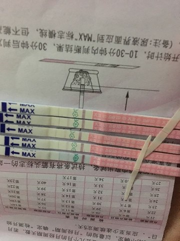 journal_insert_pic_459835176