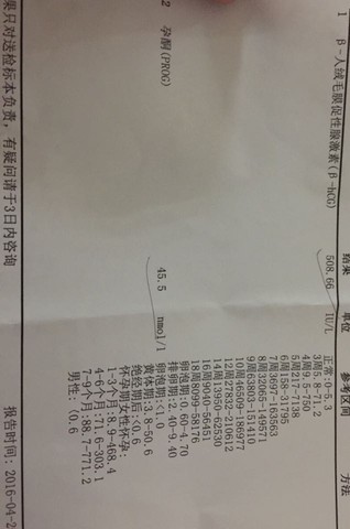 journal_insert_pic_460201650