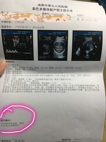 journal_insert_pic_460222261