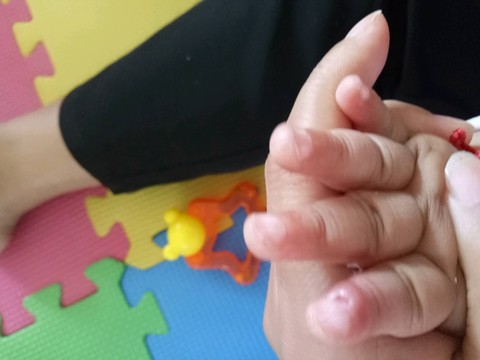 journal_insert_pic_460638102