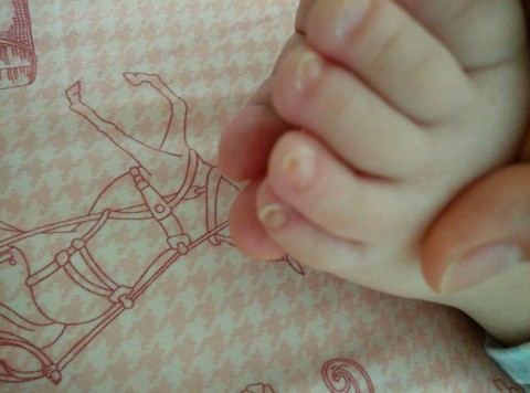 journal_insert_pic_460656059