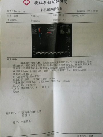 journal_insert_pic_460575067